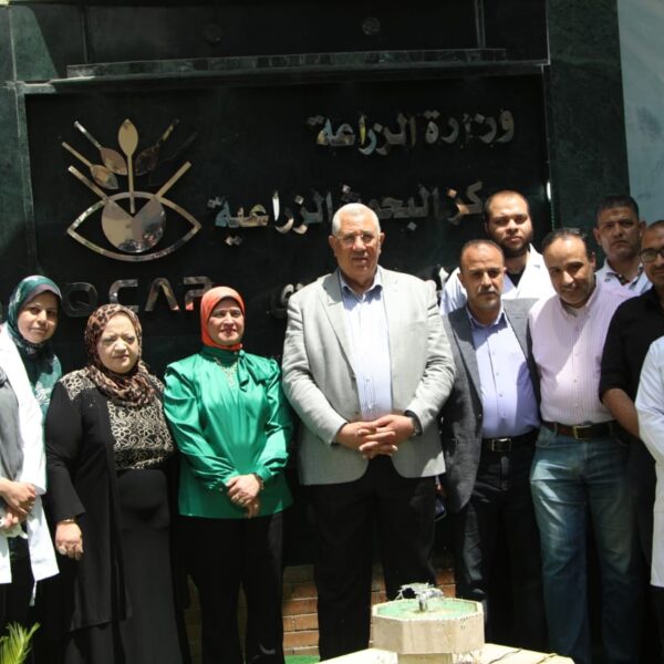 «الزراعة»: تحليل 347 ألف عينة من المنتجات الغذائية…